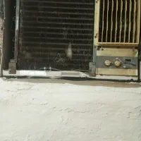 دو عدد گولر سوخته ،