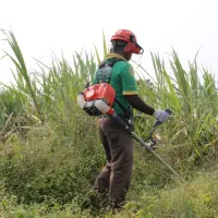 علفتراشی در کمترین زمان