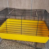 باکس حمل  سگ و گربه