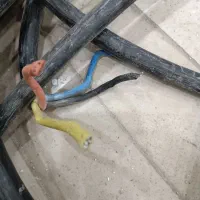 کابل ۴ در۱۶آلمینیومی برق|مصالح و تجهیزات ساختمان|قم, پردیسان|دیوار