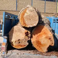 خرید چوب قطع درخت هرس درخت برش درخت|خدمات باغبانی و درختکاری|مشهد, رسالت|دیوار