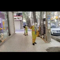 جذب نیروی پاکبان شهرداری