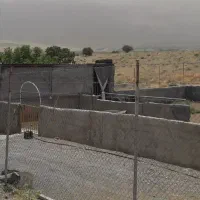 اجاره-دامداری