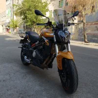 بنلی 300 خشک 1401