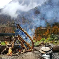 راهنمایی میکنم ب بانوان مسن