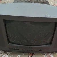 تلویزیون و قفس