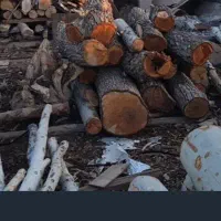 خرید و فروش چوب