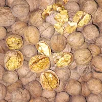 گردو
