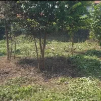 فروش استثنایی زمین 350 متری مسکونی سنددار در ضیابر