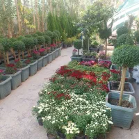 اجرای فضای سبز