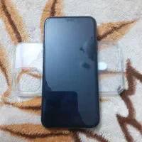 Apple11por64