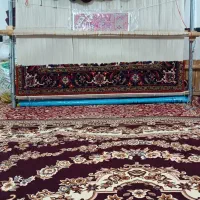 فرش نیمه کاره دستباف دو جفت با نقشه تاجری ۲|فرش|تبریز, |دیوار