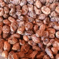خرما گنطار|خوردنی و آشامیدنی|اهواز, منازل کارون|دیوار