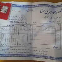 گوشواره طلا سفید ۶ گرم و ۸۵۰ سوت