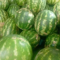 صندوق دار خانم برای هایپر میوه