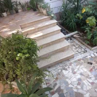 نهال ازگیل و گل یوکا کاکتوس سانسورها خرفه|گل و گیاه طبیعی|گنبد کاووس, |دیوار