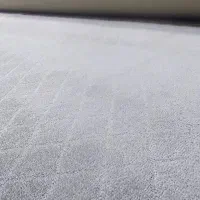 پالاز موکت الماس موکت مدرن ۱۰۰۸۰|موکت|قم, شاه ابراهیم|دیوار