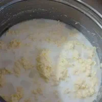 کره محلی گاو