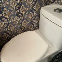 توالت فرنگی