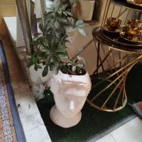 گل و گلدان