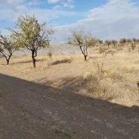 زمین در روستای سرکندیزج|فروش زمین و ملک کلنگی|صوفیان, |دیوار