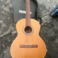 گیتار درحدنو