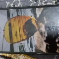 گوشی