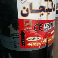 ایزوگام