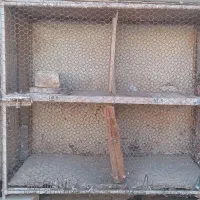 قفس کبوتر|لوازم جانبی حیوانات|سرخه, |دیوار