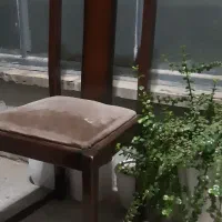 ۴ عدد صندلی صحیح و سالم و مرتب