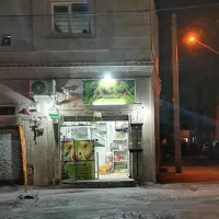 عروس هلندی قناری سهره کوتوله مرغ عشق