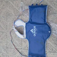 ضربه گیر تکواندو