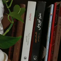 کتاب و رمان های ادبی، تاریخی، زیبایی شناسی و کمیاب