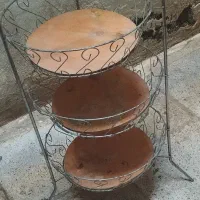 جاسیب زمینی پیاز