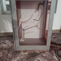 قفس پرنده
