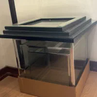 باکس بله برون