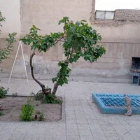 منزل کلنگی قابل سکونت 223متر 217میمون|فروش زمین و ملک کلنگی|اصفهان, مصلی|دیوار
