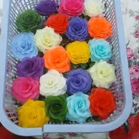 انواع گل کرستال ولمسی|حراج|اهواز, اهواز|دیوار