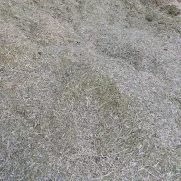 کاه خشه ویونجه جداگانه