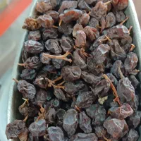 فروش مویز درشت
