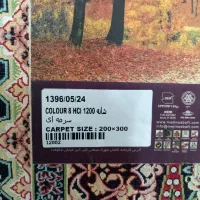 دو عدد فرش نو 1200 شانه 6متری|فرش|بابل, |دیوار