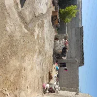 خونه و باغ شهری امیر آباد|فروش خانه و ویلا|برازجان, |دیوار