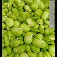 باقالی سبز وتمیز