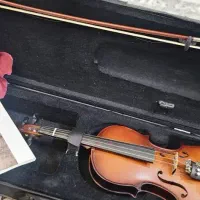 ویلن|ویولن|اسلام‌شهر, باغ فیض|دیوار