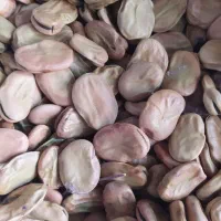 فروش ویژه باقلا سبزو خشک