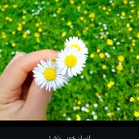 کارت ملی به اسم مرادی گمشده