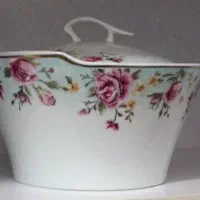 سوپ خوری نو نو