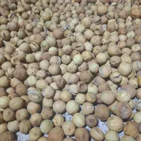 لیمو خشک کیلو 700