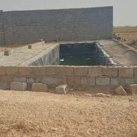 استخر ماهی