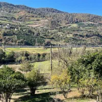 خونه باغ ویلایی در روستای یادمان(خرچنگ)ساری|فروش خانه و ویلا|پایین هولار, |دیوار